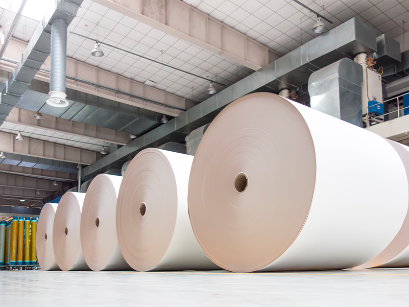 Pulp and Paper
